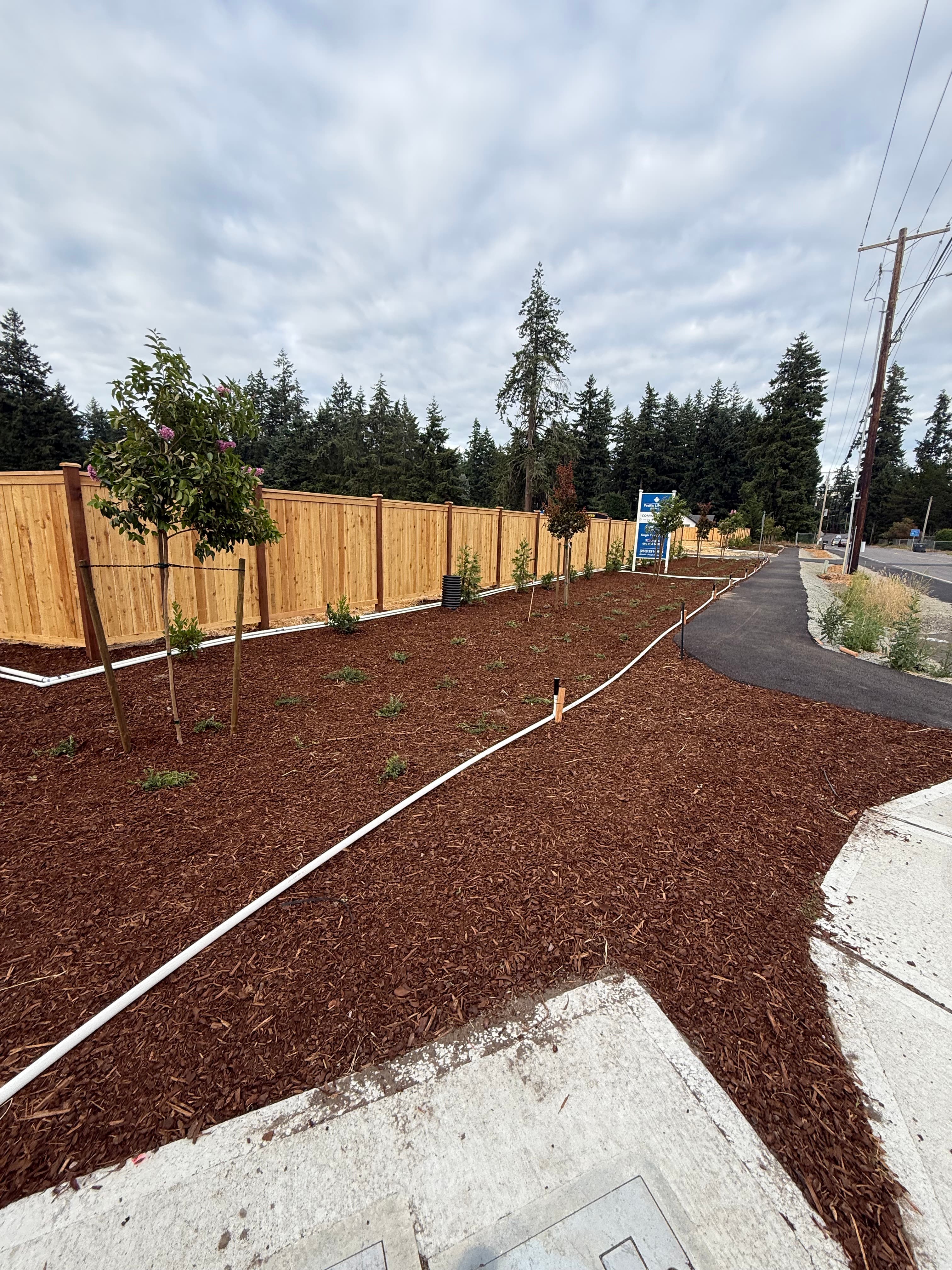 Commercial landscape maintenance detail in Pierce County WA