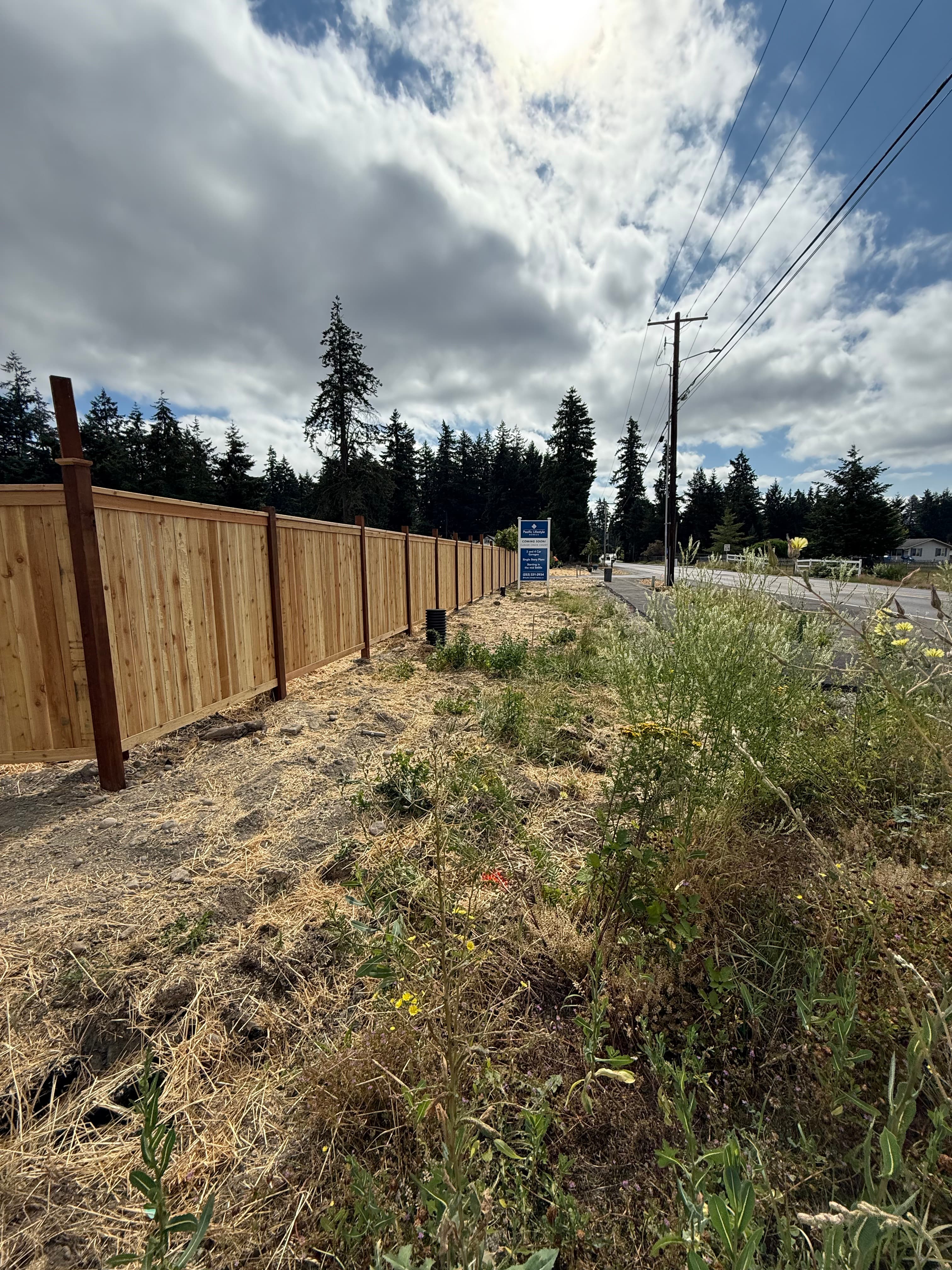 Fence line area before drainage correction in Pierce County WA