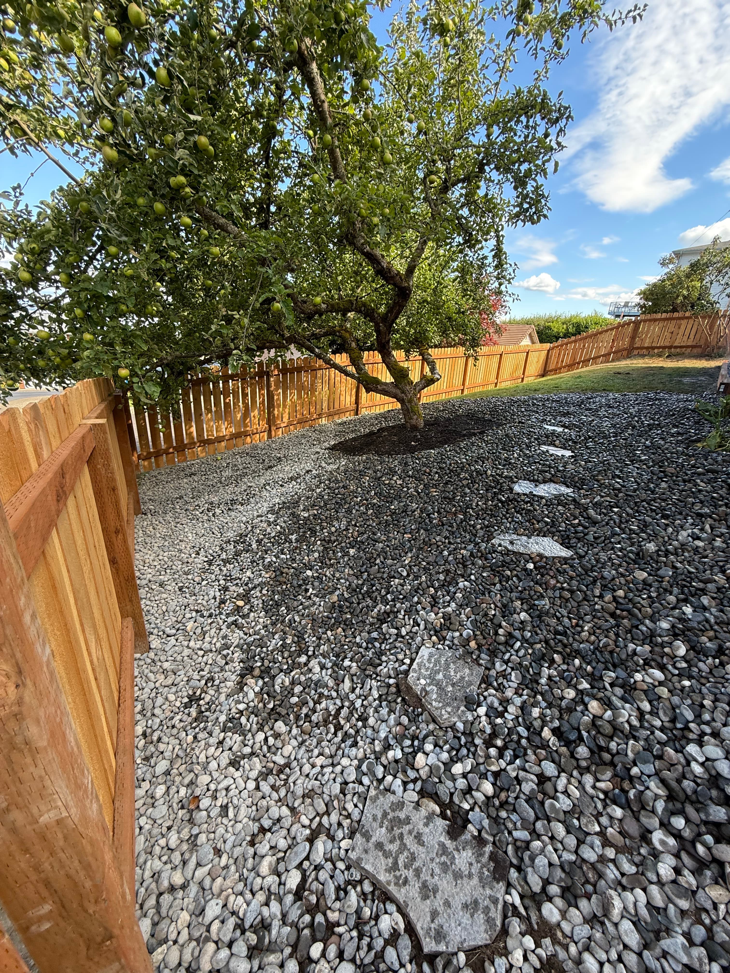 Fence line perspective showing finished alignment in Pierce County WA