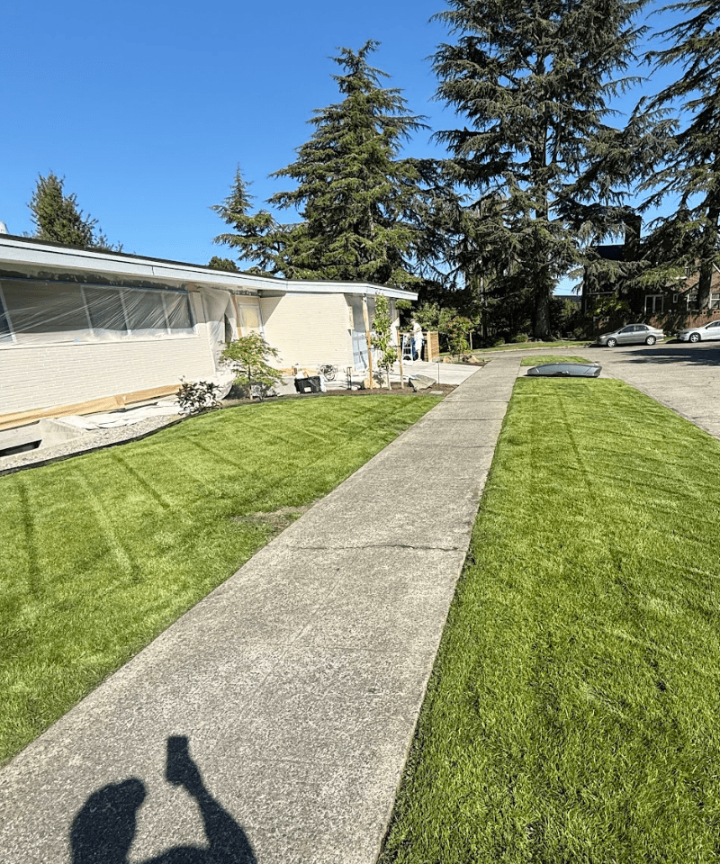 New Construction Landscape Installation project in Tacoma WA